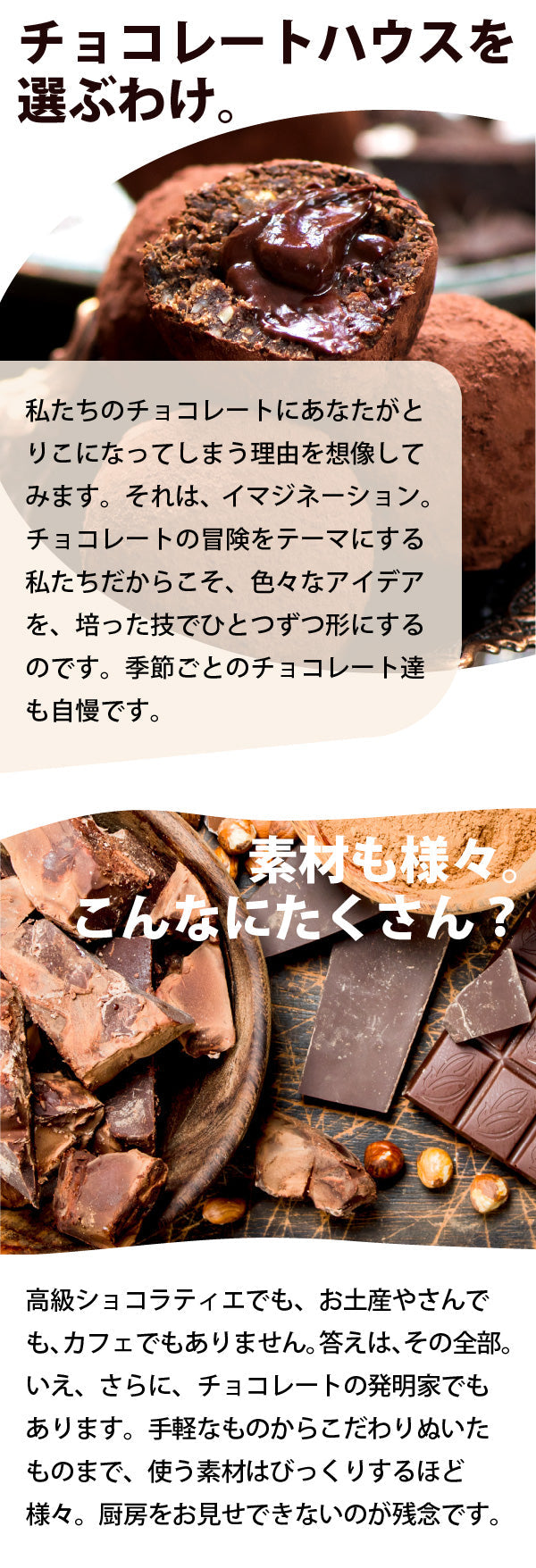 リンゴのチョコレート[季節限定]
