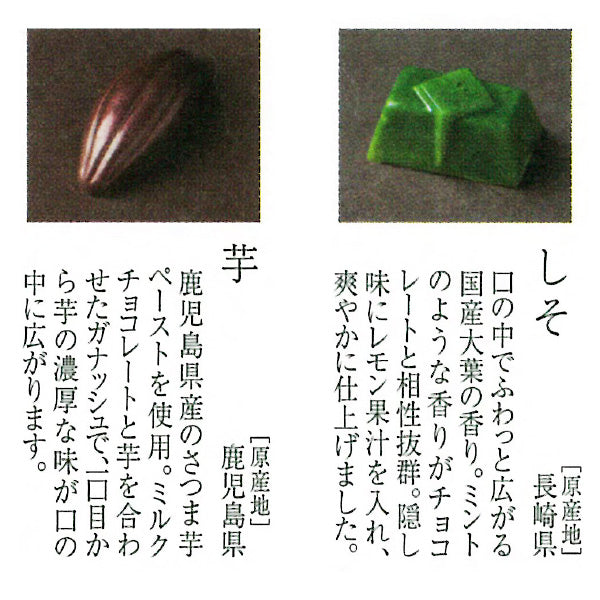 和のボンボンショコラ 12個入(洋柄)